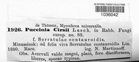 Puccinia cirsii image